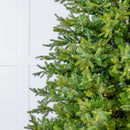 Árvore de Natal Pinheiro 1,80m de Altura - 900 Galhos - Micro LED